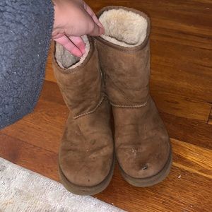 Well loved short chestnut uggs